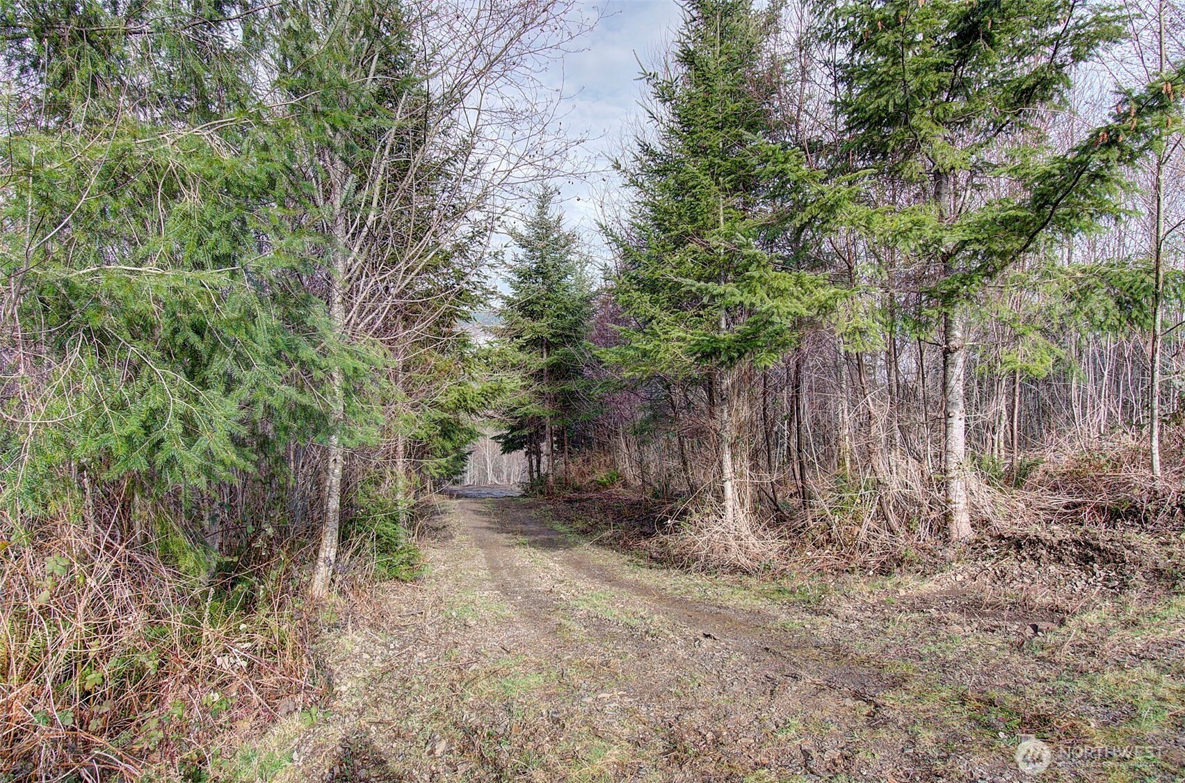 0 Remington Road Kelso, WA 98626 - Photo 7 of 18