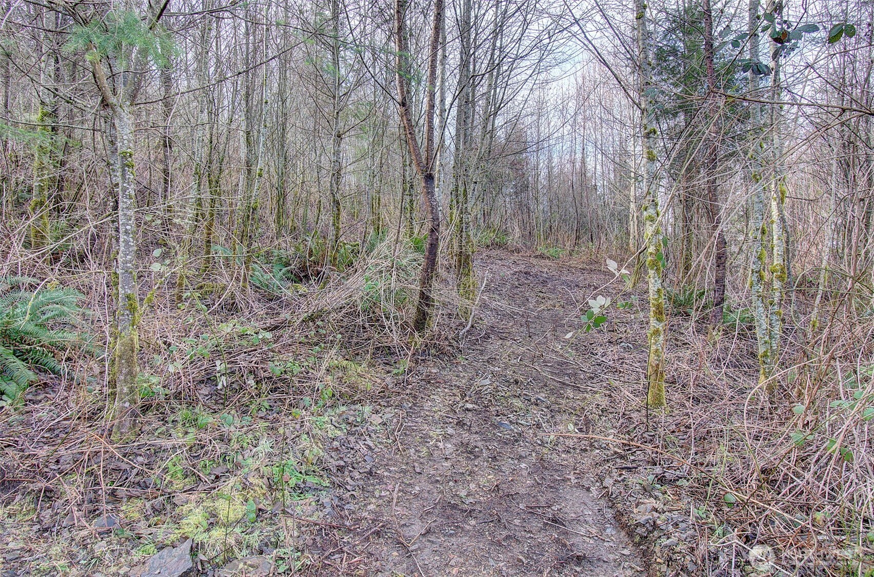 0 Remington Road Kelso, WA 98626 - Photo 8 of 18