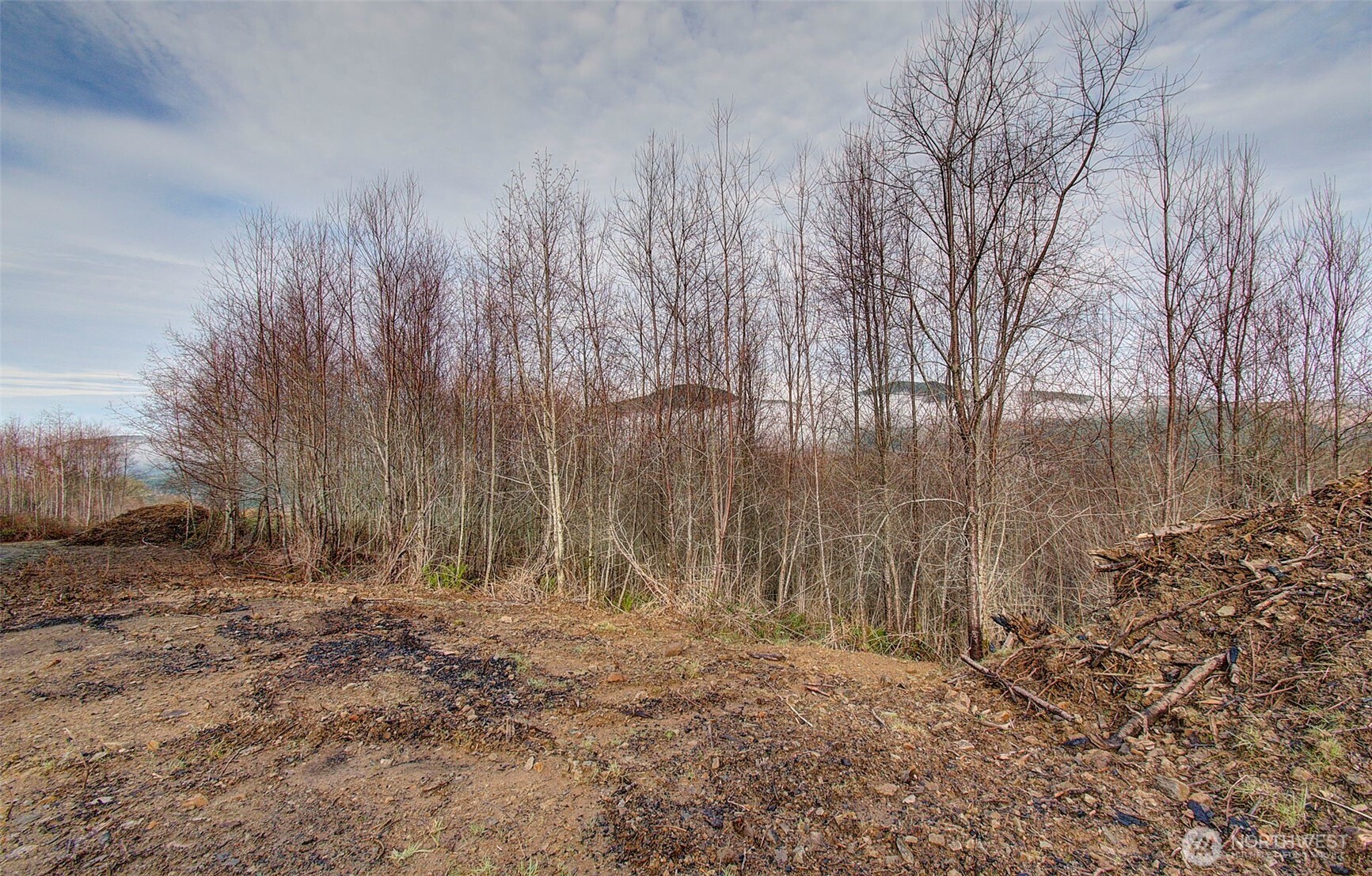 0 Remington Road Kelso, WA 98626 - Photo 9 of 18