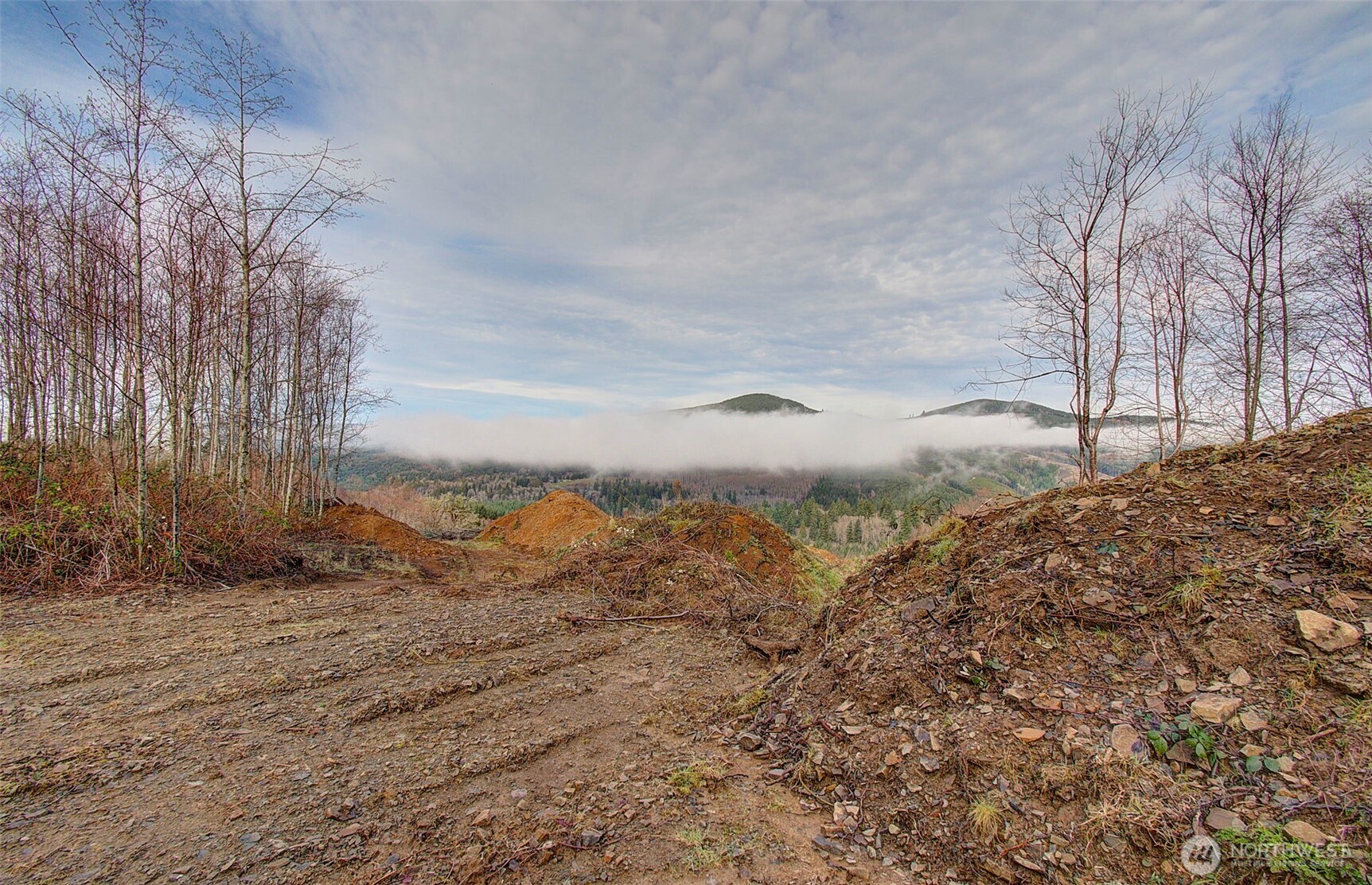 0 Remington Road Kelso, WA 98626 - Photo 10 of 18