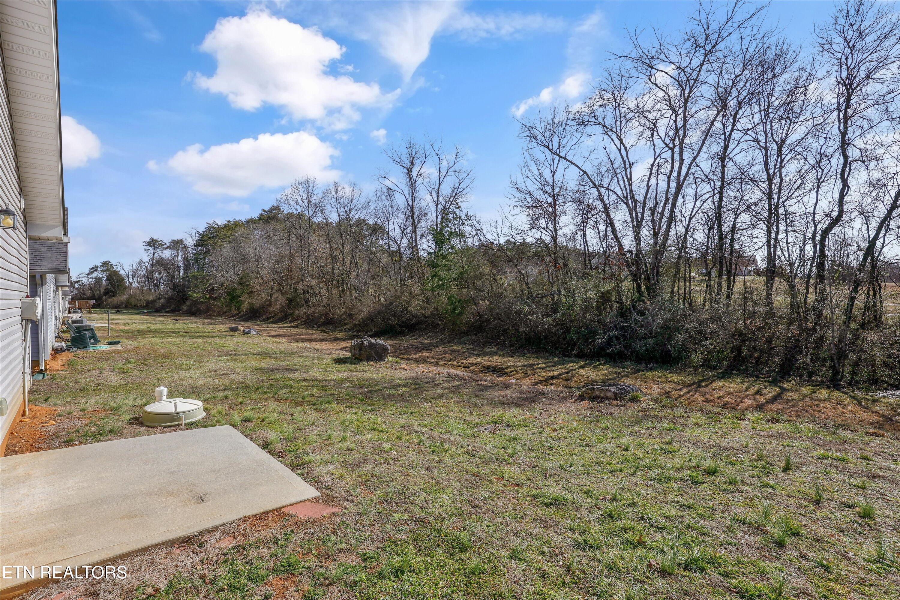 1702 Watauga Street Sevierville, TN 37876 - Photo 18 of 31 Backyard