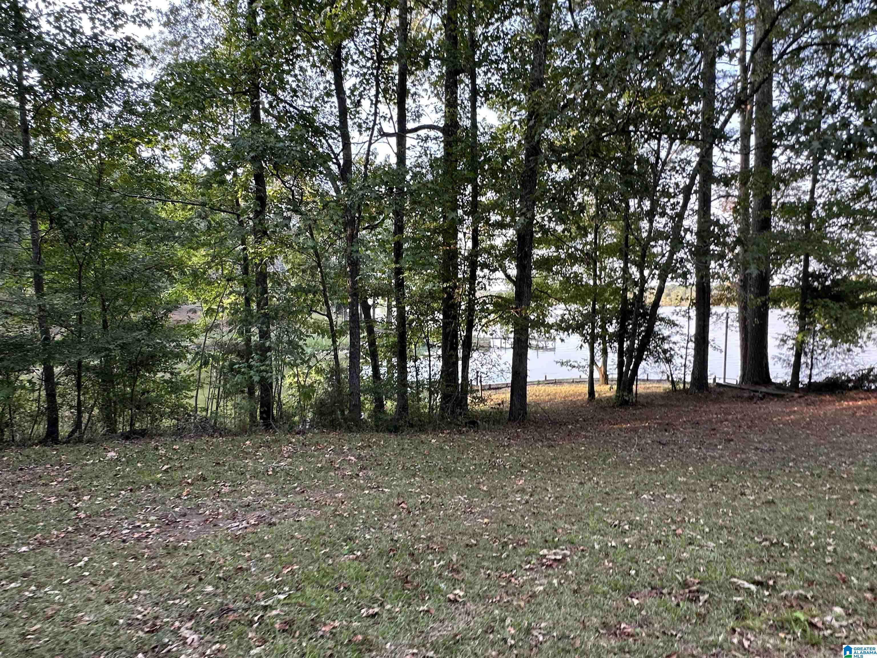98 Lonesome Pne Road Riverside, AL 35135 - Photo 21 of 67