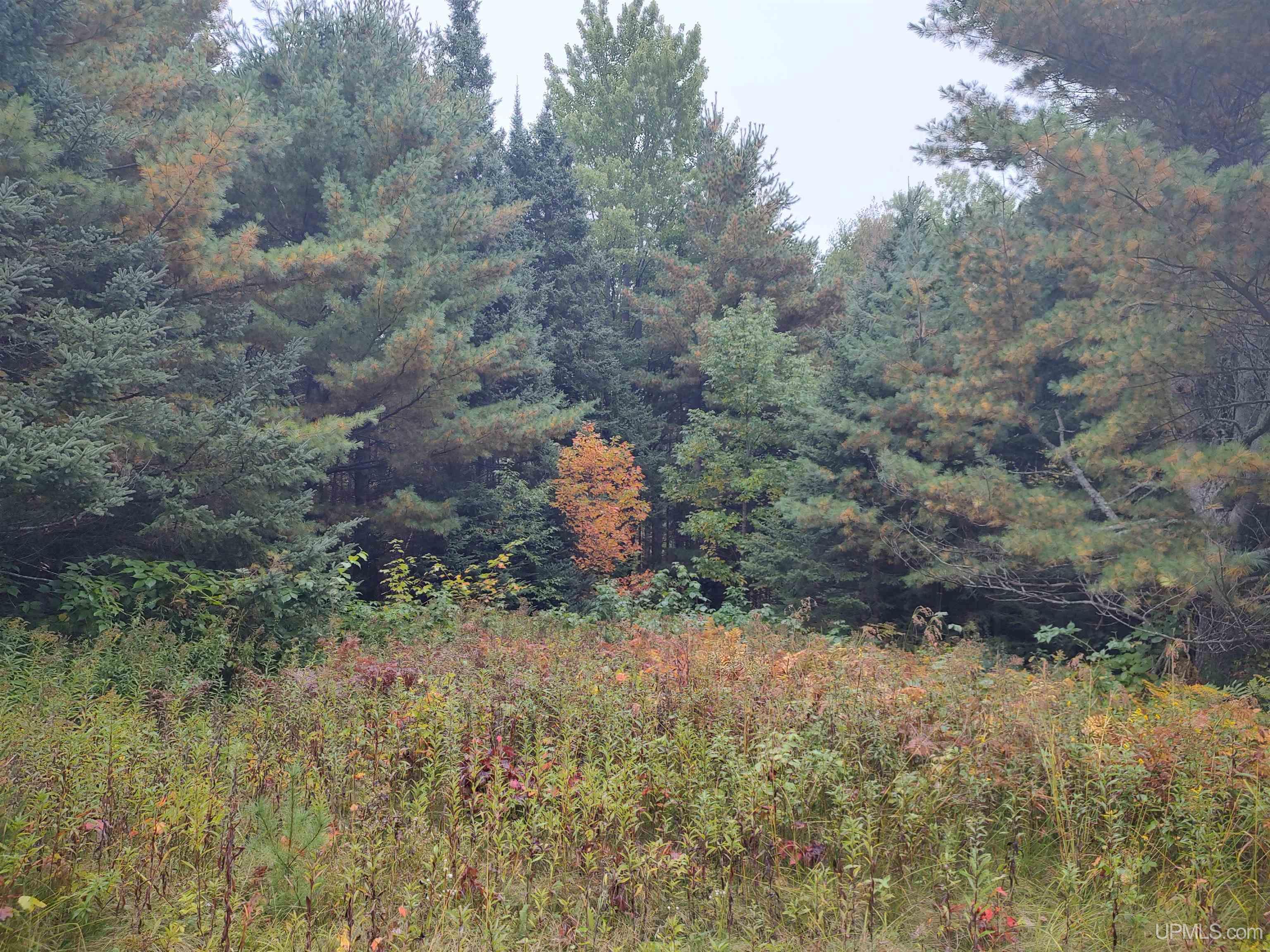 Tbd South Laird Road Pelkie, MI 49958 - Photo 7 of 25