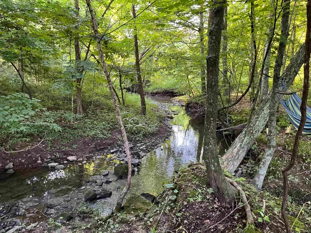 $375,000 | 11456 East Robins Nest Drive, Springville, IN 47462