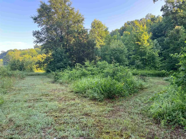 $375,000 | 11456 East Robins Nest Drive, Springville, IN 47462