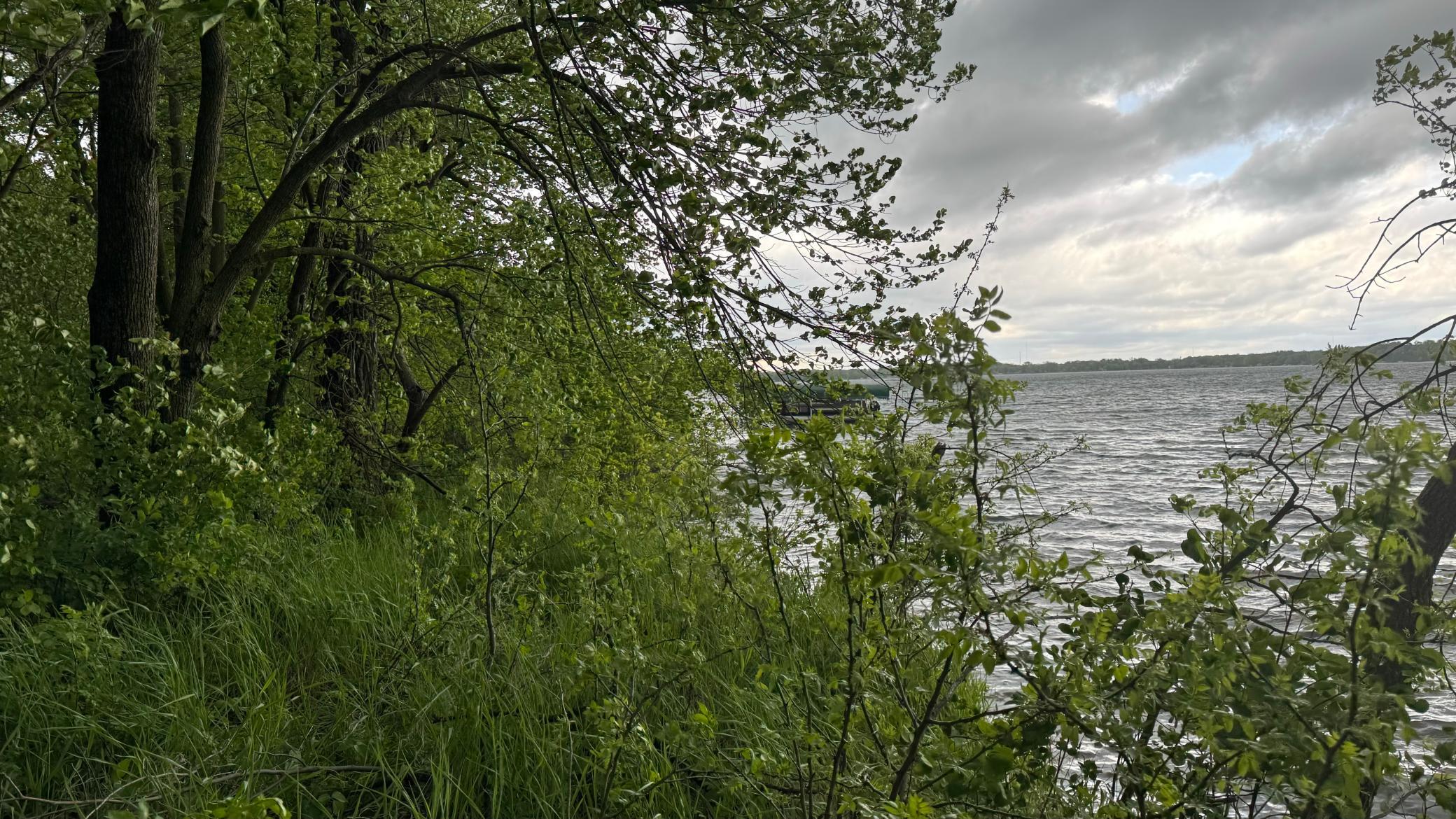 Lot 16 Sunset Strip Northwest Alexandria, MN 56308 - Photo 31 of 45