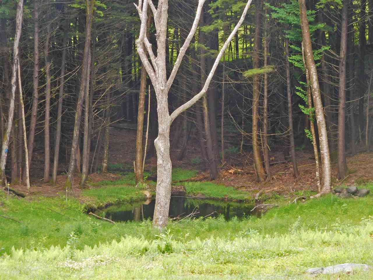 455 Wright Orchard Road Grafton, VT 05146 - Photo 26 of 29 Gallery Image 26