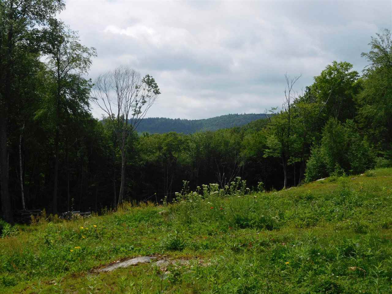 455 Wright Orchard Road Grafton, VT 05146 - Photo 6 of 29 Gallery Image 6