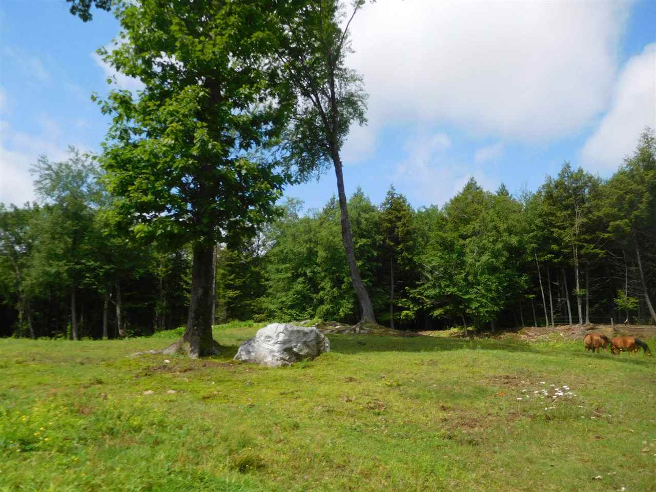 455 Wright Orchard Road Grafton, VT 05146 - Photo 7 of 29 Gallery Image 7