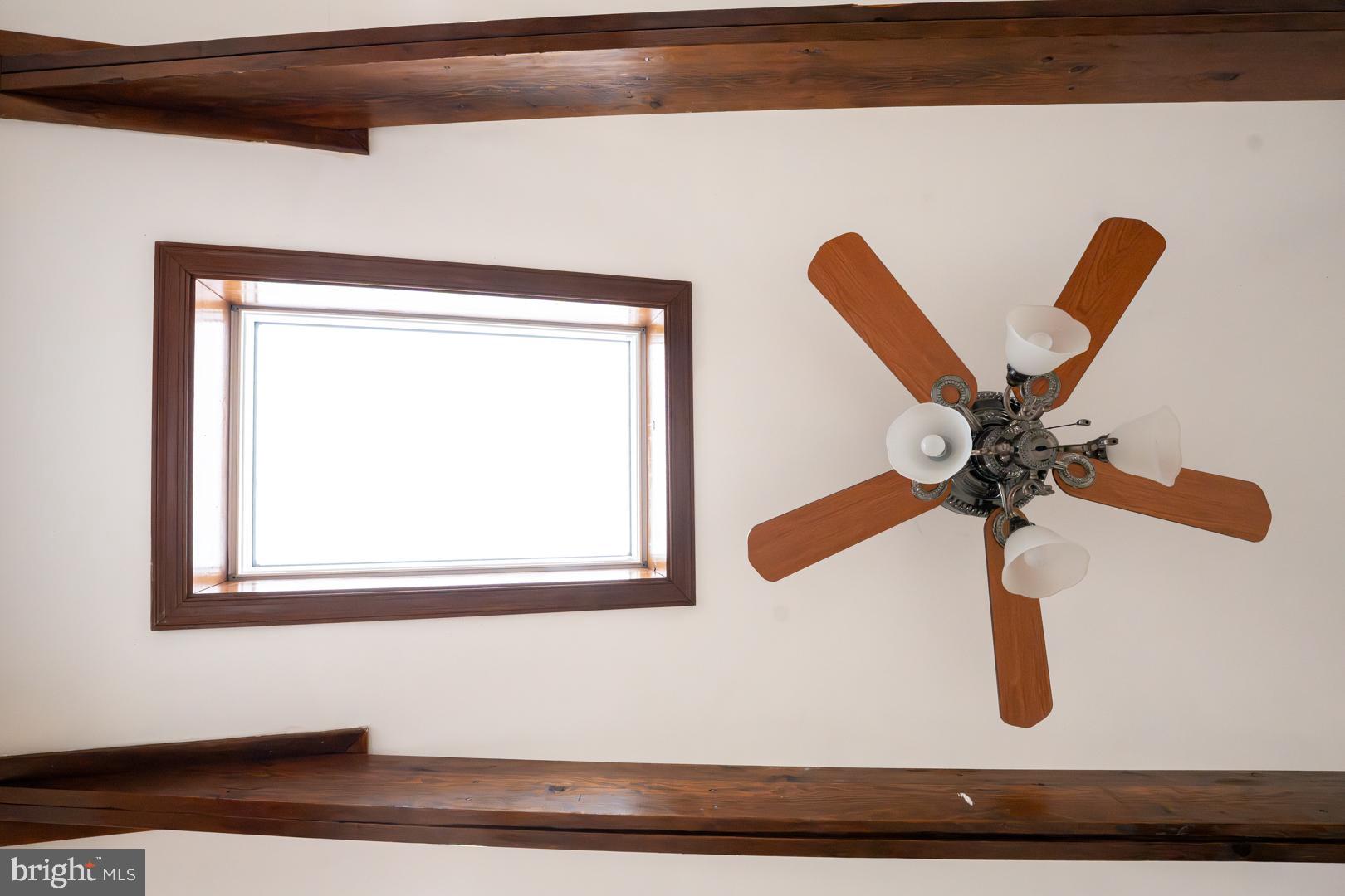 903 Wingfield Road Woodbridge, VA 22191 - Photo 36 of 85