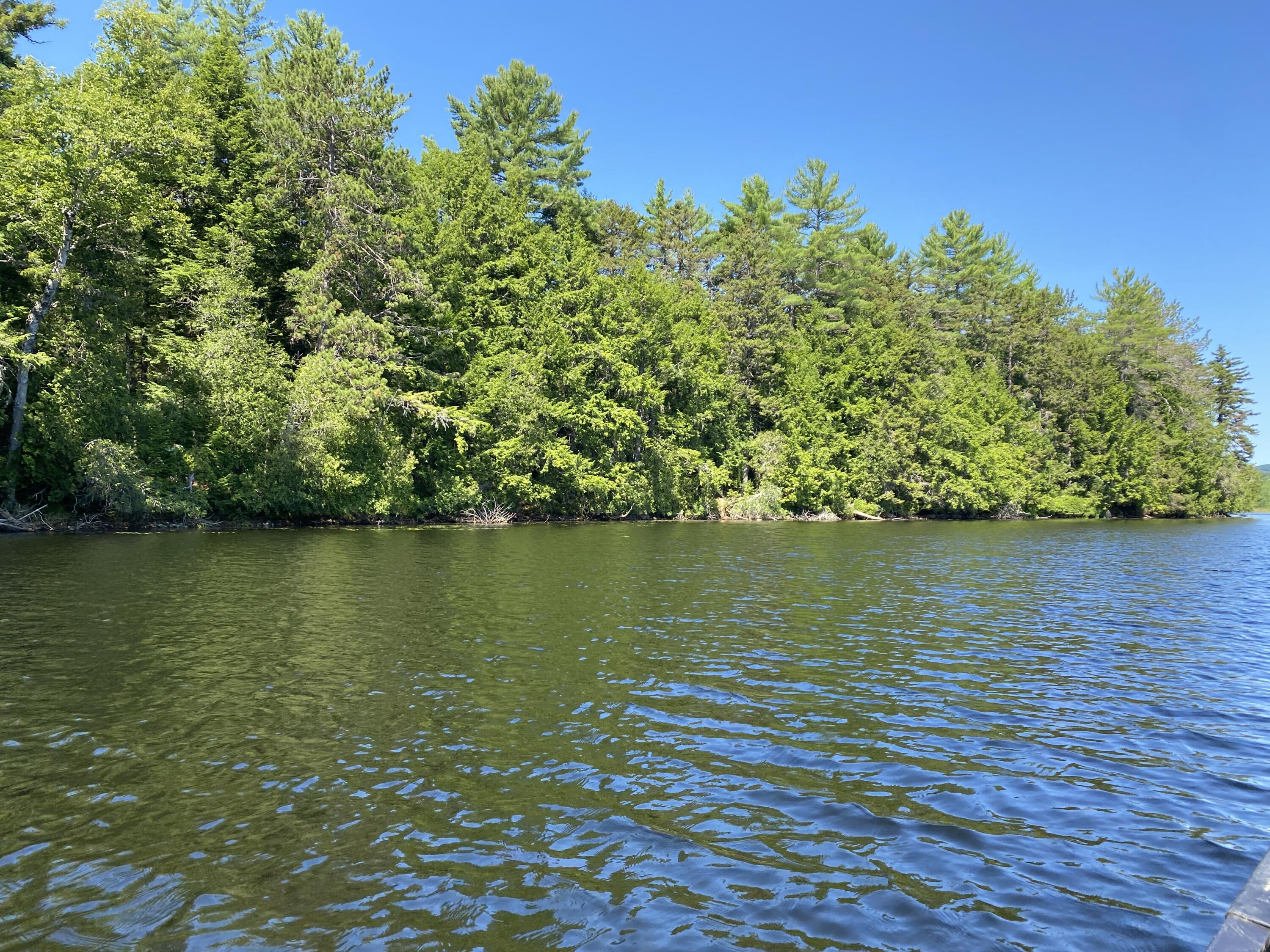 Tbd Depot Road Lakeville, ME 04487 - Photo 49 of 56