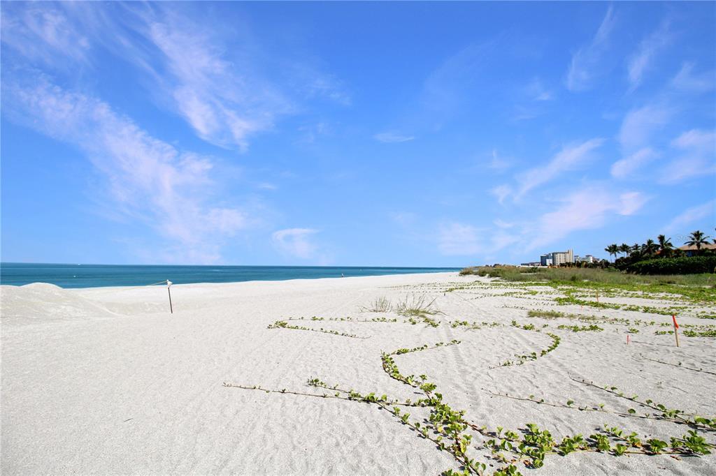 633 Alhambra Road, Unit 701 Venice, FL 34285 - Photo 52 of 55 Gallery Image 52