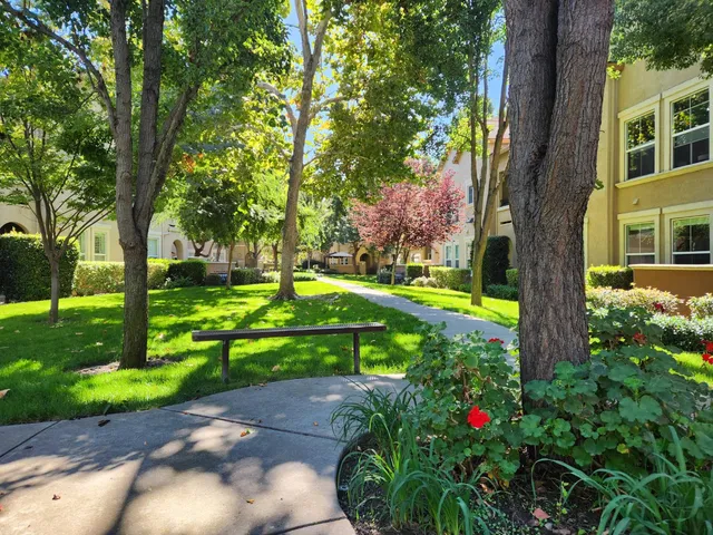 a view of a garden with a bench in a garden