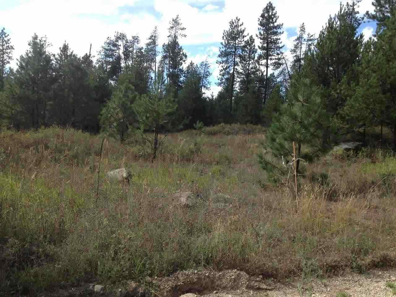 0 East Frideger Road Elk, WA 99009 - Photo 1 of 2