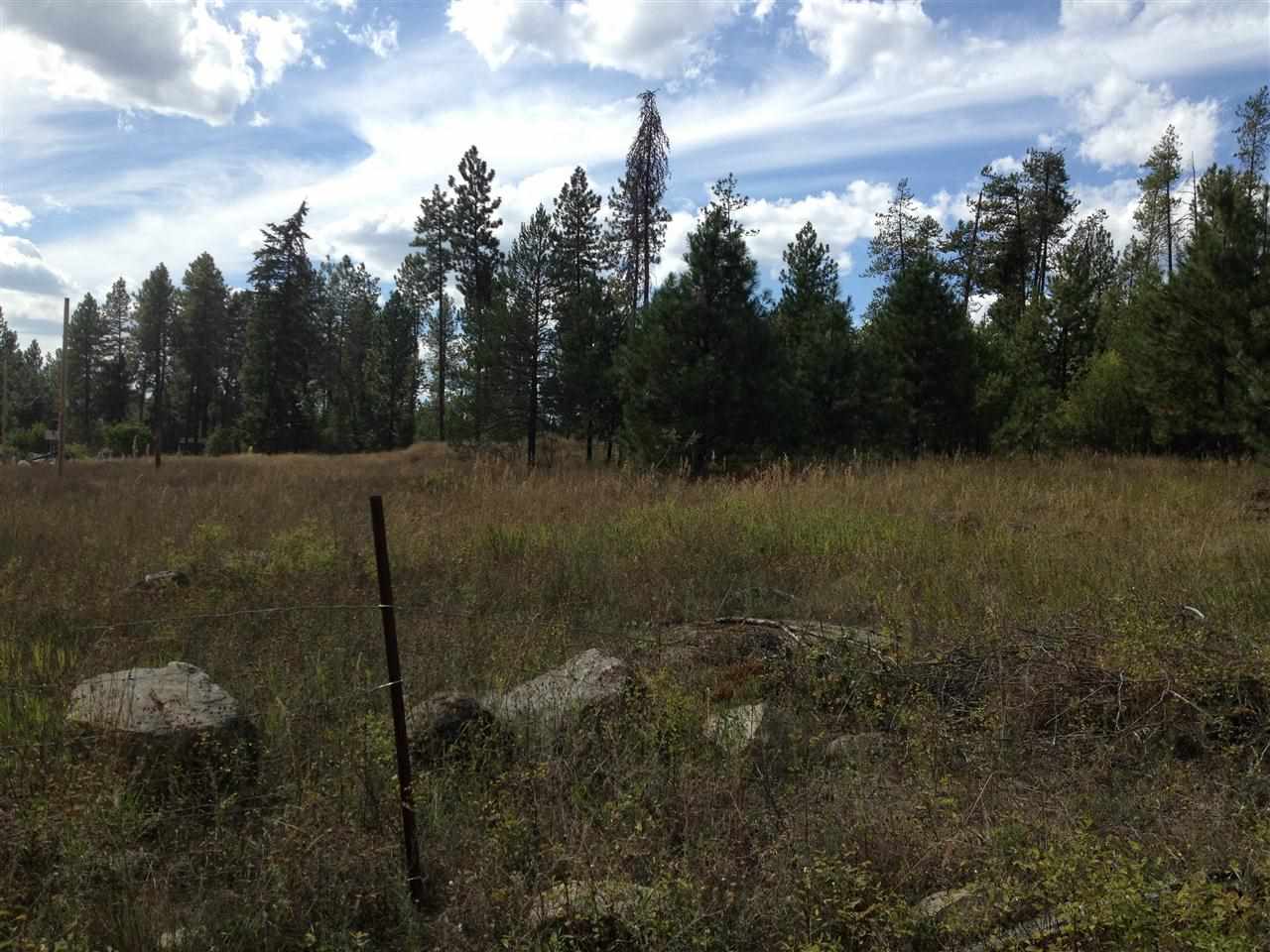 0 East Frideger Road Elk, WA 99009 - Photo 2 of 2