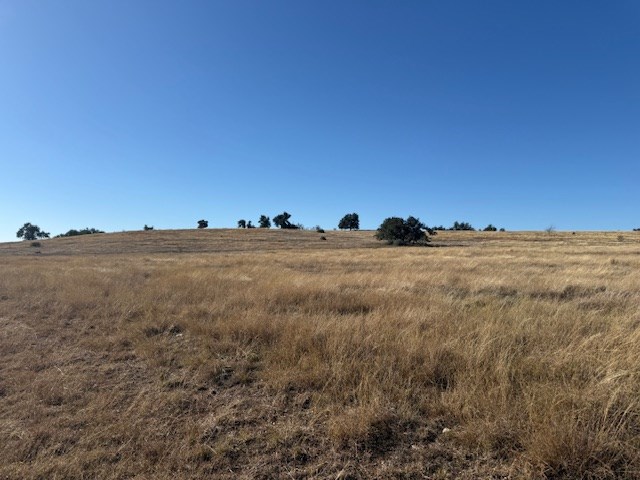 25 Reeh Road, Unit 25 Fredericksburg, TX 78624 - Photo 8 of 12