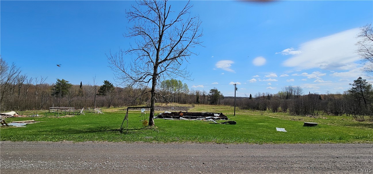 8098 Mc Gowan Road Pinckney, NY 13626 - Photo 1 of 7