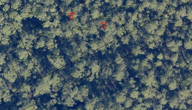 $15,000 | Tbd 10th Street, Elkton, FL 32033