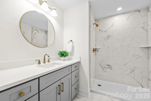 a bathroom with a sink a mirror a vanity and a shower