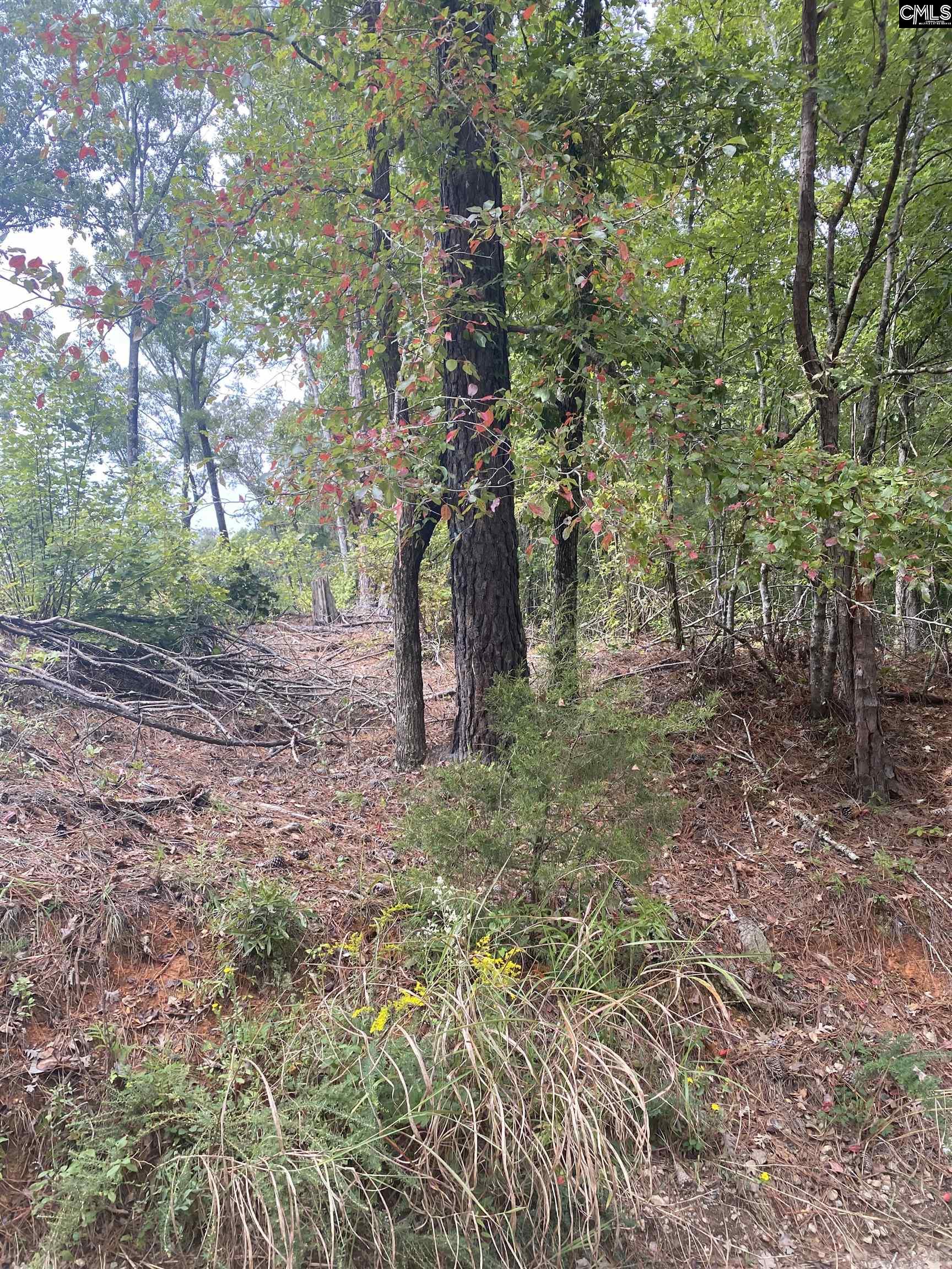 None Claude Bundrick Road Southwest Blythewood, SC 29016 - Photo 1 of 4