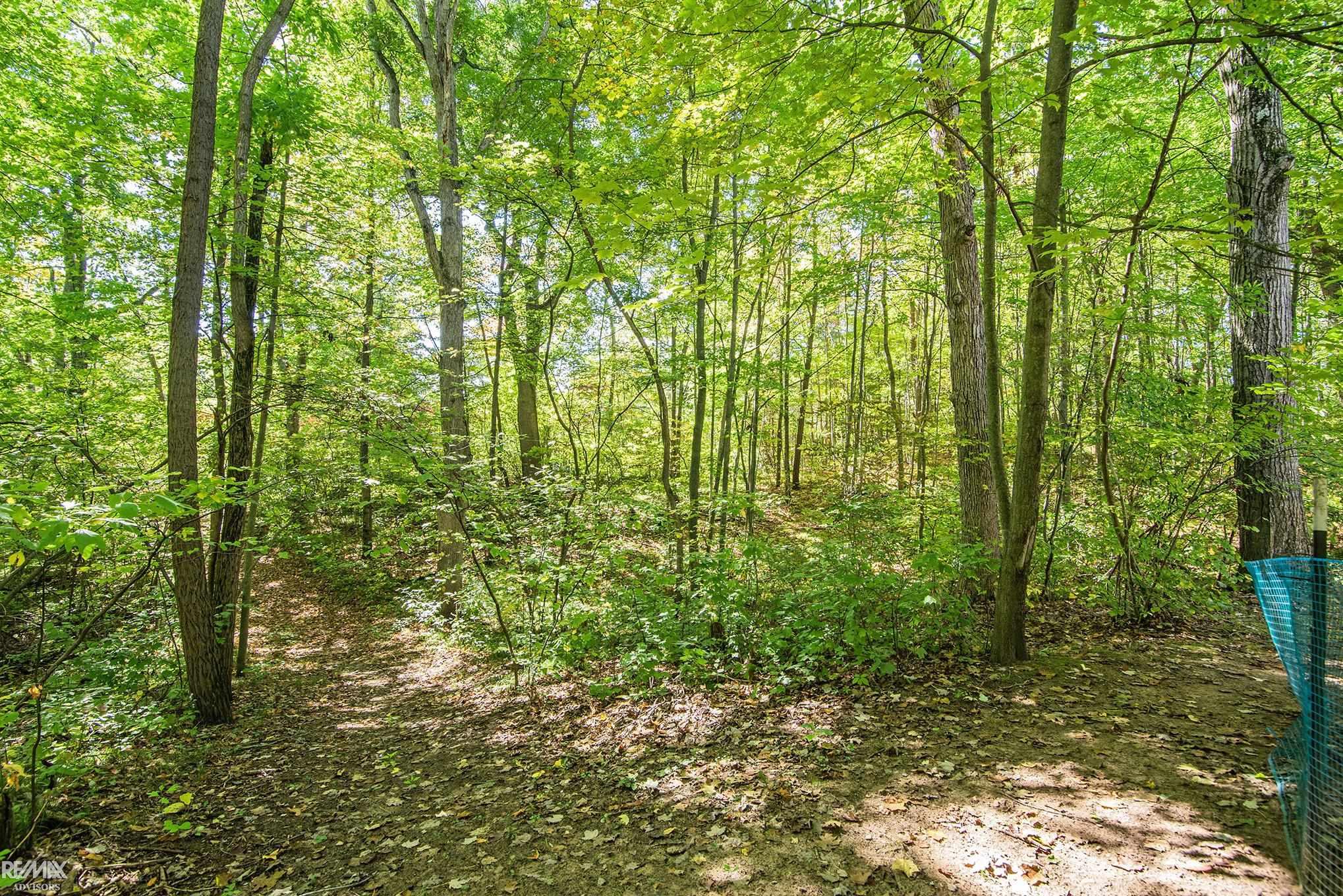 3252 Fish Lake Road Lapeer, MI 48446 - Photo 42 of 50 50094700-42.JPG