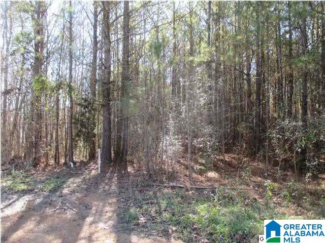 Garrett Road, Unit 10 Blountsville, AL 35031 - Photo 1 of 1