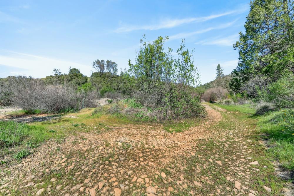 0 Clark Mountain Road Lotus, CA 95651 - Photo 41 of 47 Gallery Image 41