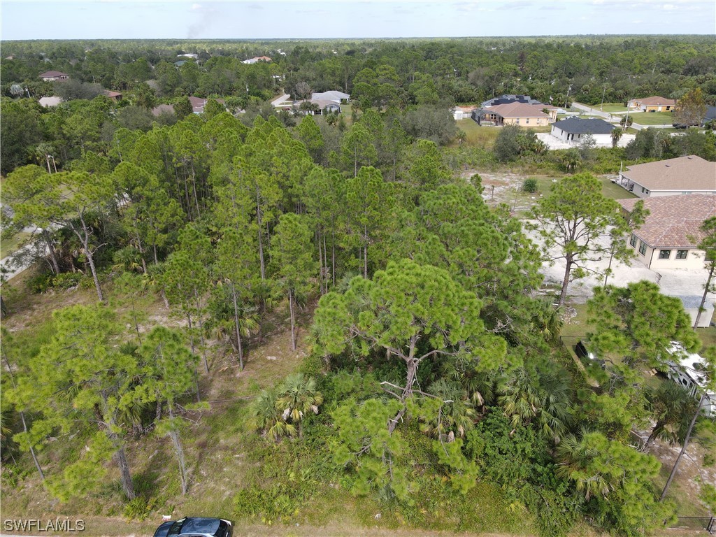 103 East 6th Street Lehigh Acres, FL 33972 - Photo 3 of 3 a view of a green field with lots of bushes