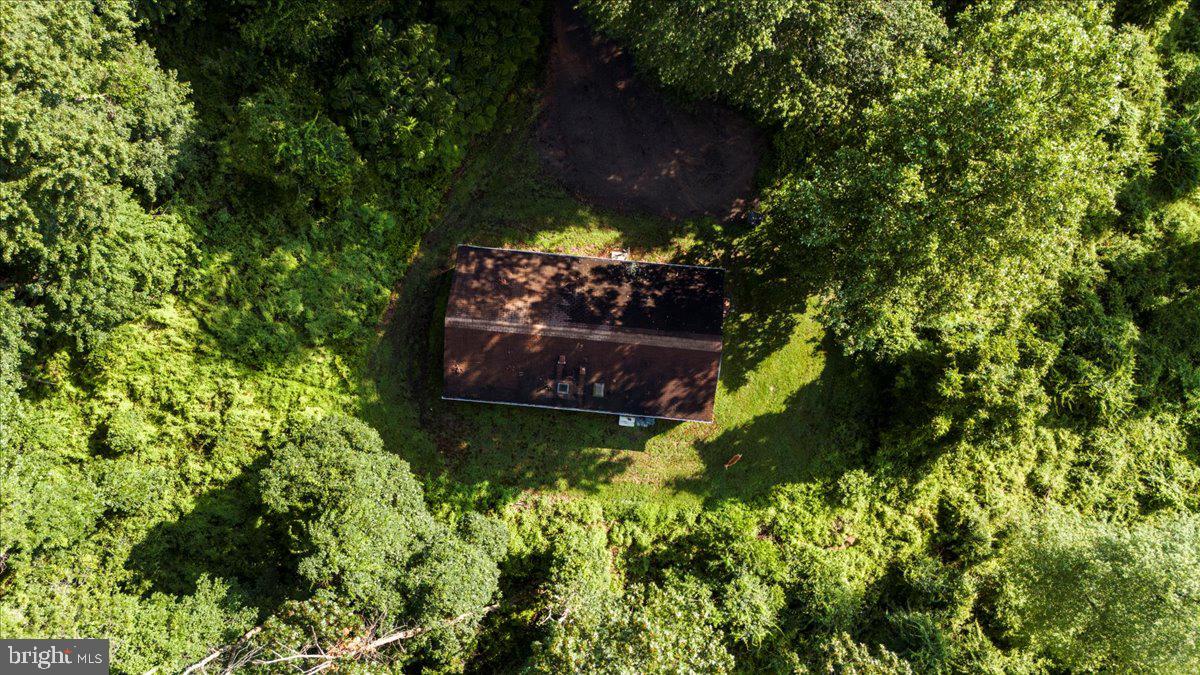 270 Rocksville Road Southampton, PA 18966 - Photo 14 of 16 a view of flowers in a garden
