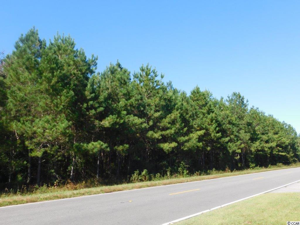 9 Red Bluff Road Loris, SC 29569 - Photo 2 of 4 Gallery Image 2