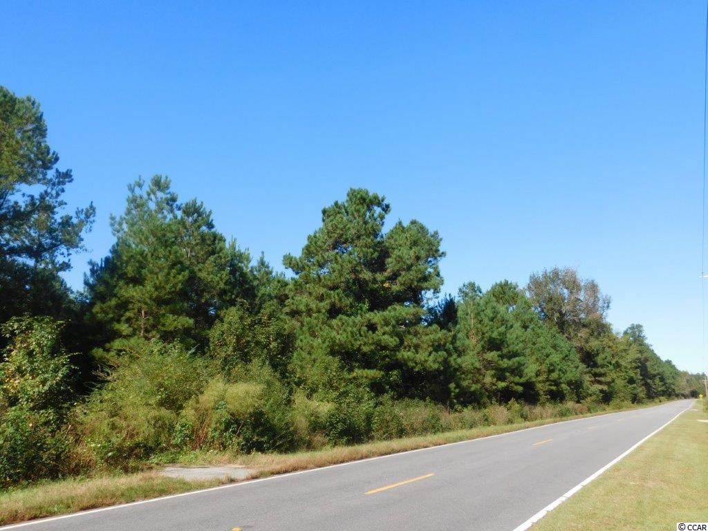 9 Red Bluff Road Loris, SC 29569 - Photo 3 of 4 Gallery Image 3