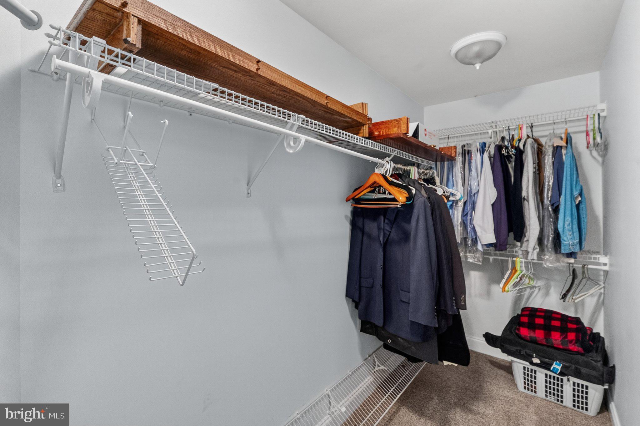 342 Ring Road Chadds Ford, PA 19317 - Photo 37 of 95 Organized closet with ample space.