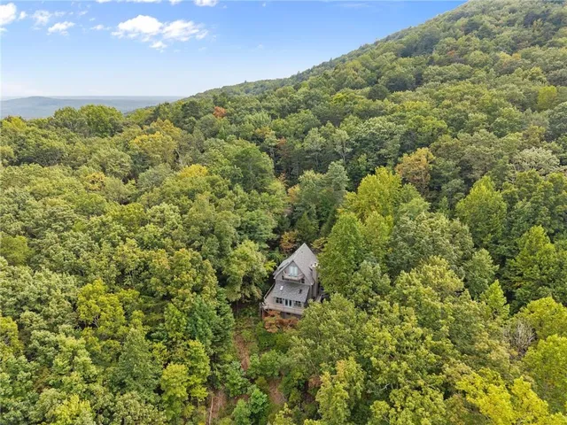 a view of a large garden with plants and large trees