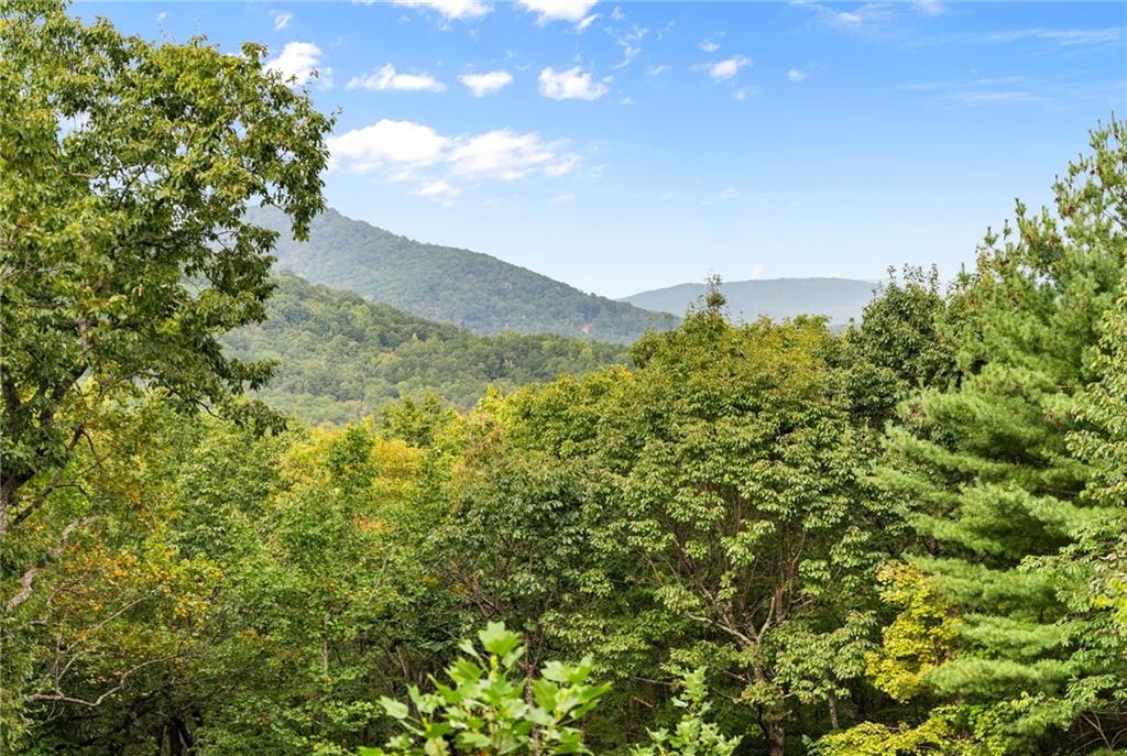 62 High Ridge Road Cleveland, GA 30528 - Photo 49 of 58