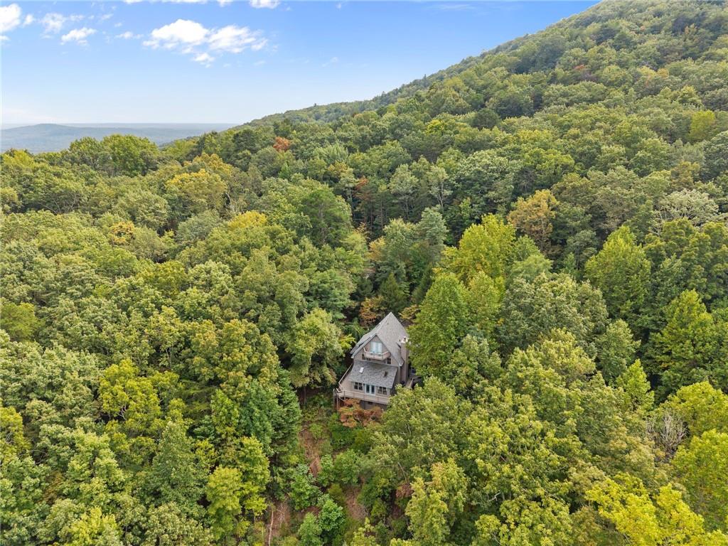 62 High Ridge Road Cleveland, GA 30528 - Photo 52 of 58