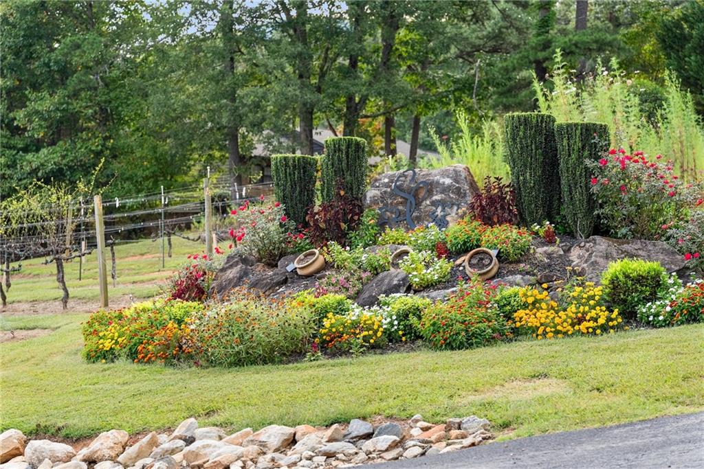 62 High Ridge Road Cleveland, GA 30528 - Photo 52 of 55 a view of a garden with flowers