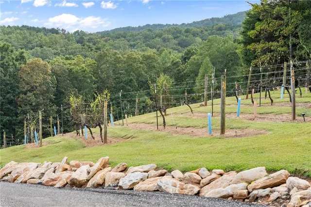 $575,000 | 62 High Ridge Road, Cleveland, GA 30528