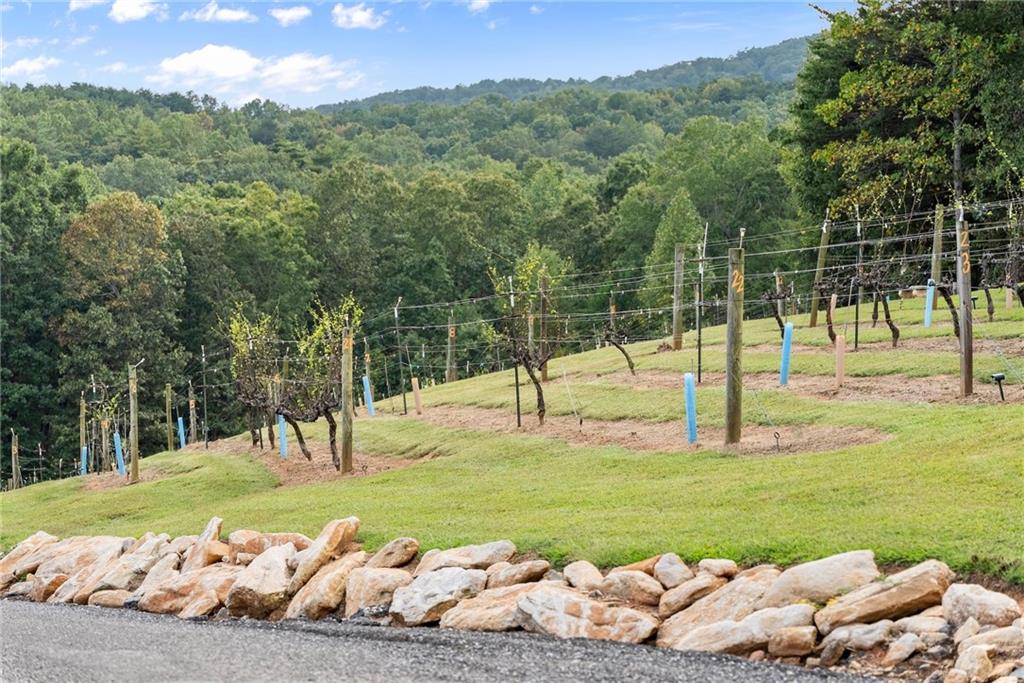 62 High Ridge Road Cleveland, GA 30528 - Photo 53 of 55