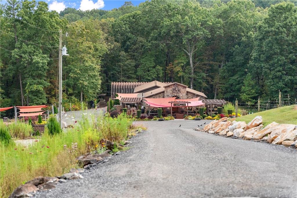 62 High Ridge Road Cleveland, GA 30528 - Photo 54 of 55 an outdoor space with swimming pool and furniture