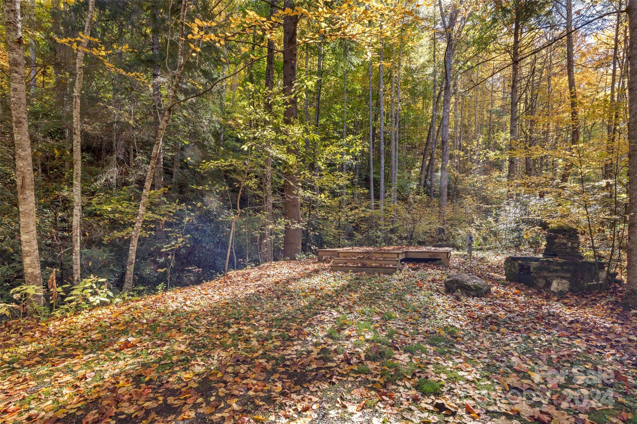 88 Steel Brg Road Canton, NC 28716 - Photo 33 of 48