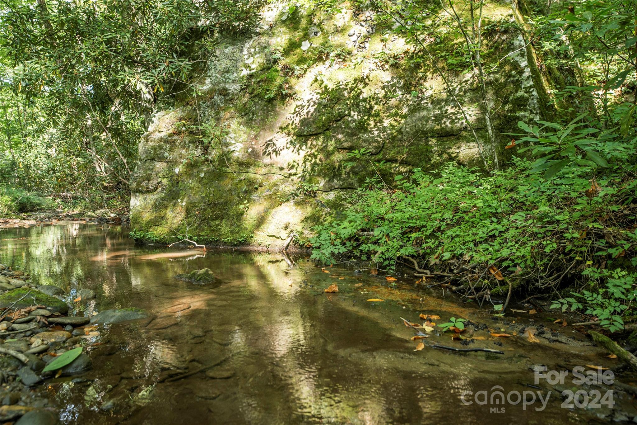 88 Steel Brg Road Canton, NC 28716 - Photo 35 of 48