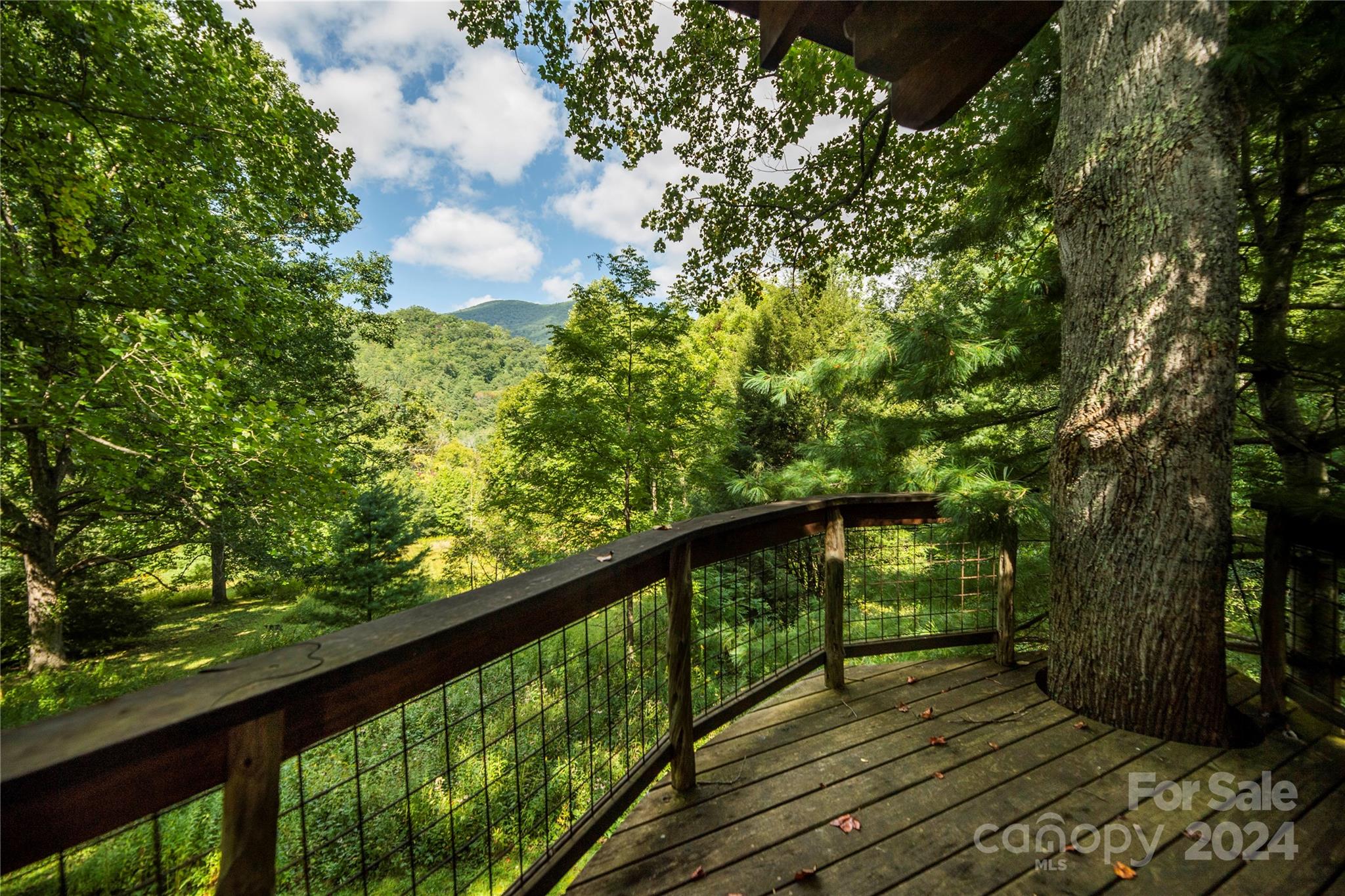 88 Steel Brg Road Canton, NC 28716 - Photo 38 of 48