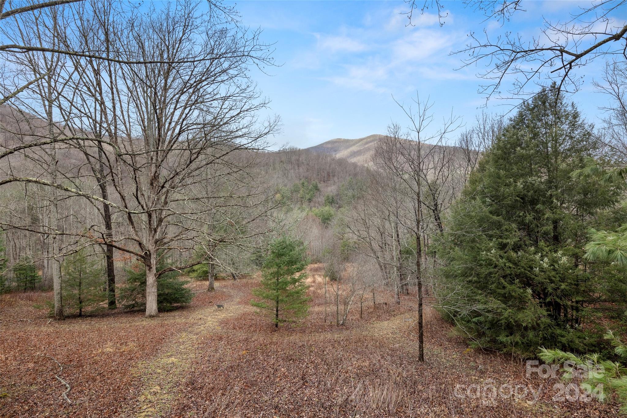 88 Steel Brg Road Canton, NC 28716 - Photo 42 of 48