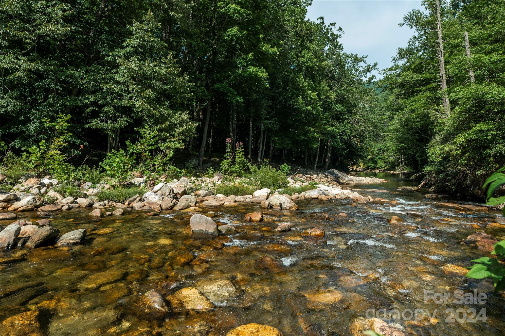 88 Steel Brg Road Canton, NC 28716 - Photo 44 of 48