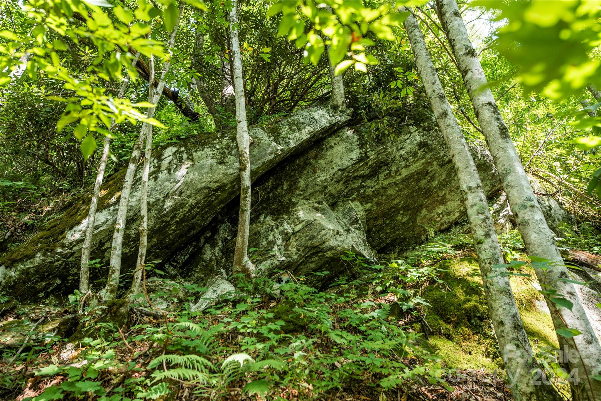 88 Steel Brg Road Canton, NC 28716 - Photo 45 of 48