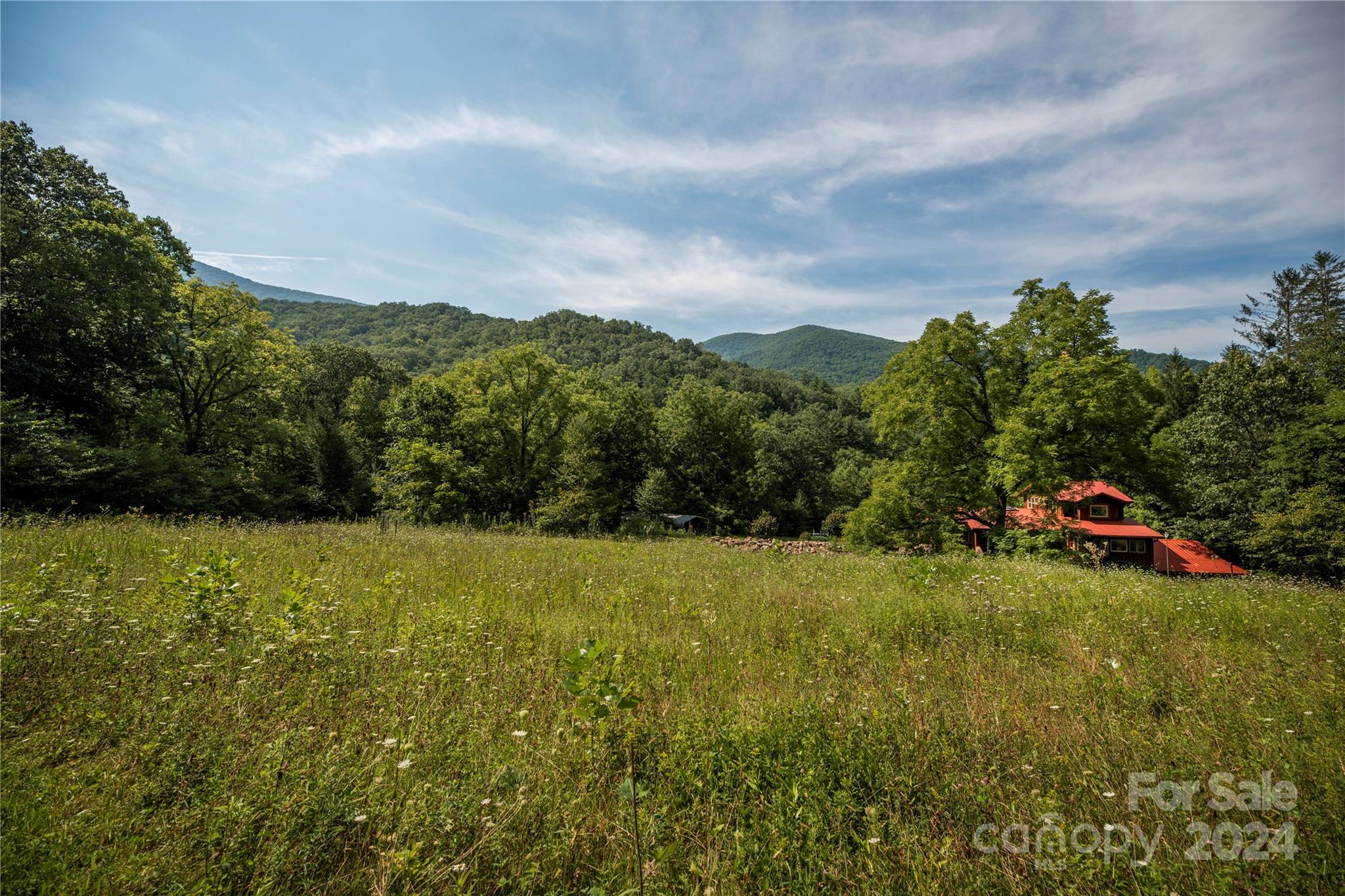 88 Steel Brg Road Canton, NC 28716 - Photo 5 of 48