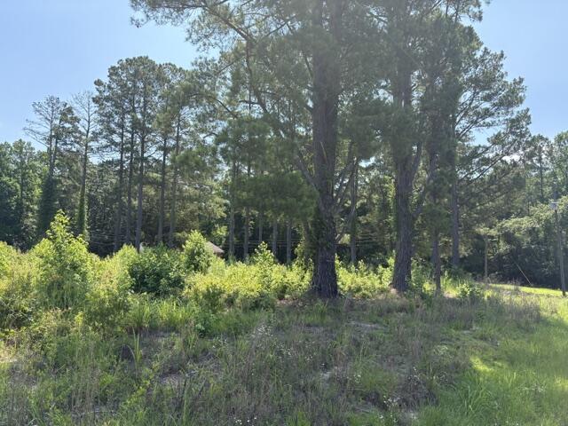 Tbd Boston Wells Road Alcolu, SC 29001 - Photo 4 of 6