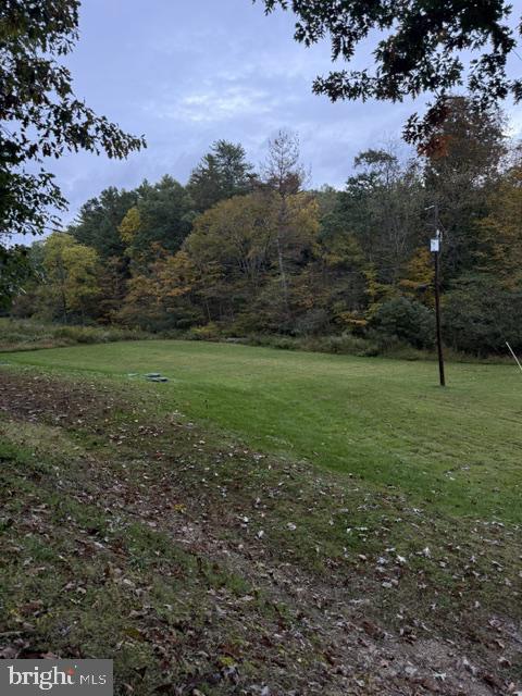 13612 Hollow Road Hesston, PA 16647 - Photo 11 of 21 Gallery Image 11