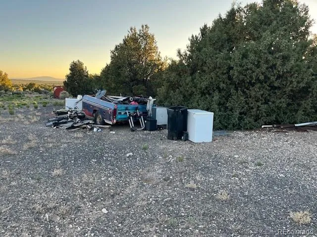 a view of a room with a sitting area and a forest