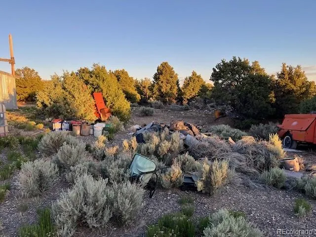 a view of a dry yard with trees
